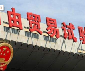习近平：把自由贸易试验区建设成为新时代改革开放新高地