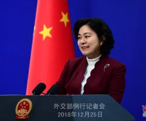 法国对被关押加拿大人表示“担忧” 外交部：你们为何发声？
