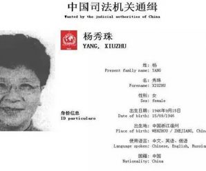 百名红通头号嫌犯杨秀珠首次接受电视采访:海外逃亡太苦了