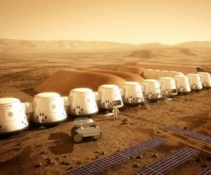 Mars One骗局曝光宣布破产 曾承诺将人类送上火星