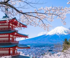 美媒：现金为王的日本因中国而改变