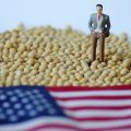 中国买家要求推迟发货 美国大豆积压程度前所未有