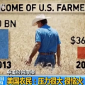 中美经贸摩擦美国农民“熬不住了”：压力很大，很恼火