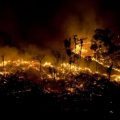 亚马孙森林烧了16天 巴西为何现在才重视