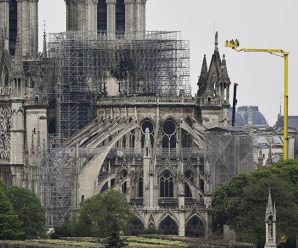 重建巴黎圣母院大概需要40年：当务之急是避免其进一步坍塌