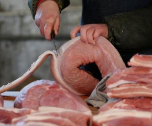 万吨中央储备猪肉投放：多部门14次出手 肉价涨幅回落