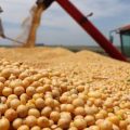 美方表示中方开始采购美国农产品，耿爽给出五个数据