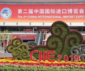 第二届进博会闭幕：共赴“东方之约”同享“中国机遇”