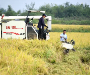 新华时评：长久不变，是为了变得更好