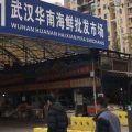 世卫组织就武汉肺炎事件发声：不建议对中国实施旅行贸易限制