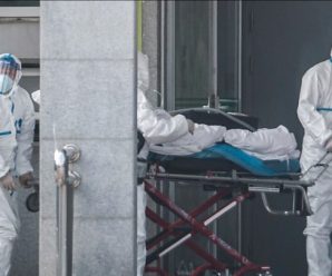 溯源：为何新型病毒总是指向野生动物？