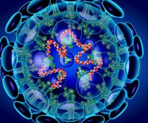 中国学者最新研究：新型冠状病毒最可能来自于蛇