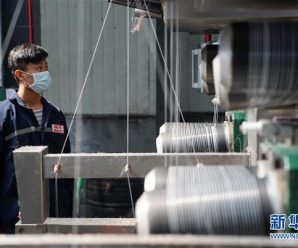 流通企业复工率总体恢复 消费市场回暖