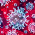 美国科学家：新冠病毒来源于大自然，并非来自实验室
