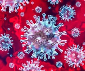 美国科学家：新冠病毒来源于大自然，并非来自实验室