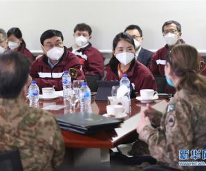 中国专家与巴基斯坦医务人员交流防疫理念