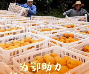 鄂货不带病毒，请搭把手来一单
