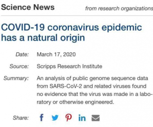 漏洞百出！美科学家驳斥新冠病毒源于实验室