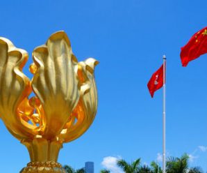 都跳出来了？就知道你们怕了！