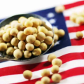 中美第一阶段经贸协议逐步落地 自美进口大豆正逐步回升