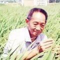 袁隆平：以科技创新保障国家粮食安全