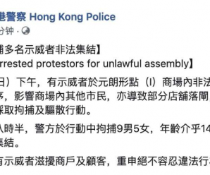 暴徒端午节在商场集结破坏 香港警方拘捕14人