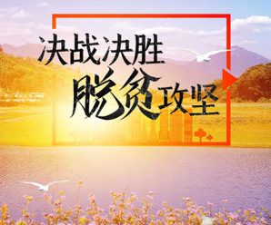展现人类减贫史上的大国担当