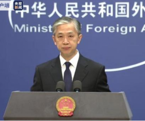 港府推迟第七届立法会选举合情合理合法