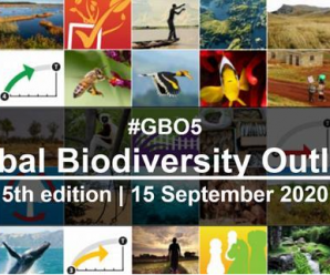 联合国发布第五版《全球生物多样性展望》