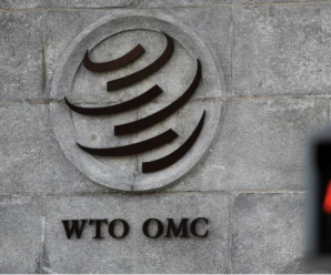 WTO：中国进出口为全球贸易作出贡献