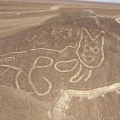 秘鲁纳斯卡地区发现约2000年前猫形地画