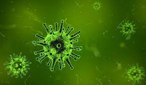 中疾控：中国没有发现变异新冠病毒输入 将继续高度关注