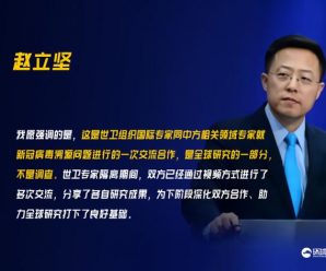中方介绍来华世卫专家组访问情况：是全球研究一部分 不是调查