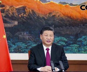 中国为全球走出危机贡献力量（望海楼·世界经济·中国方案）