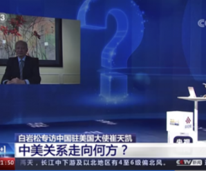 崔天凯大使接受《新闻1+1》及《白·问》栏目专访