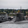 美国核潜艇现大量臭虫 船员抱怨:要被臭虫“生吞”了