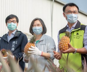 环球社评：台当局对“禁菠萝”想得很多盖因心虚