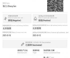 中国版“国际旅行健康证明”上线，学者：并非单纯的“疫苗护照”