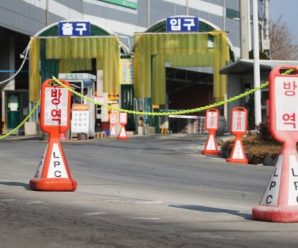 超50人“中招” 韩国肉类加工市场暴发疫情