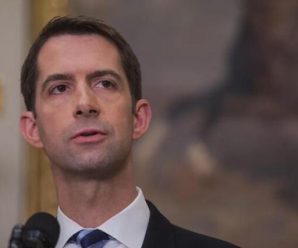 反华议员骂CNN等美媒“严重受惠于中国” 网友:乱叫的吉娃娃