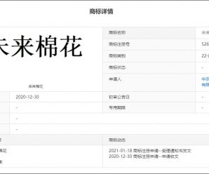 中国棉花行业正启动“未来棉花”计划，设立“自己的标准”