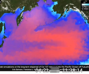 德国研究机构：福岛核污染水228天后到台湾东岸 600天包围全台