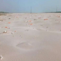 印度北方邦恒河河段发现浮尸后 岸边沙滩又出现近500具尸体