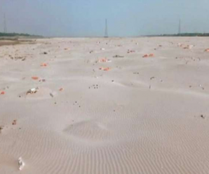 印度北方邦恒河河段发现浮尸后 岸边沙滩又出现近500具尸体