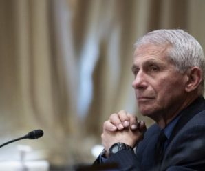 福奇回应因疫情被攻击：“科学和真相正受到攻击”