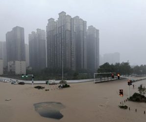 环时锐评：郑州遇难人数近300，公众需要一个答案