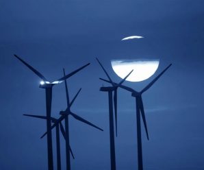 专家：构建新型电力系统 助力实现碳达峰、碳中和目标