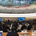 中国社会组织在联合国人权理事会就多项议题有力发声