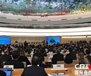 中国社会组织在联合国人权理事会就多项议题有力发声