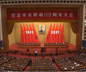 纪念辛亥革命110周年大会在京举行